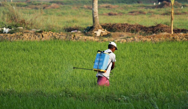 Glyphosate en Espagne