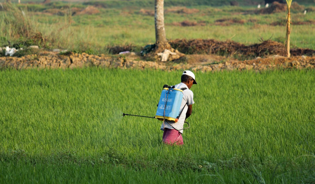 Glyphosate en Espagne