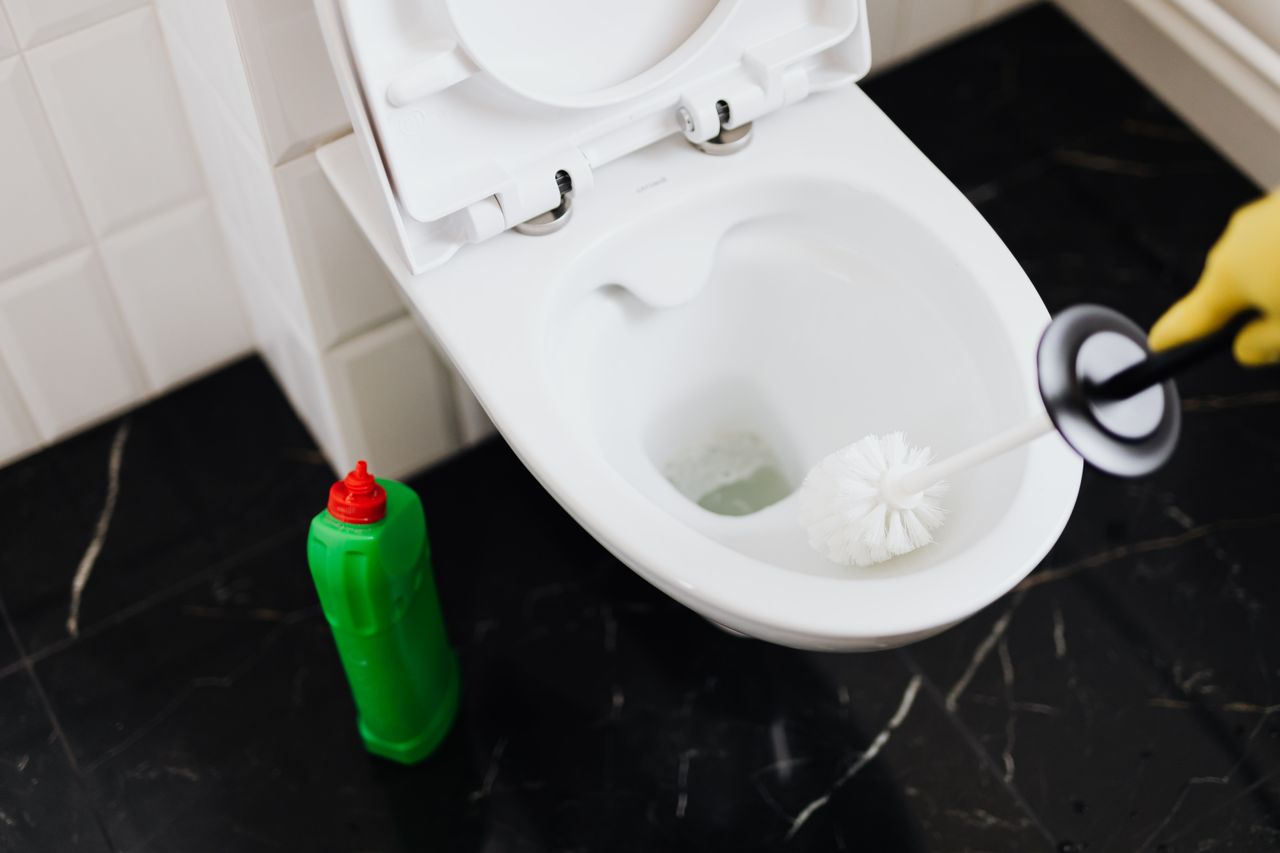 Vers noirs dans les toilettes